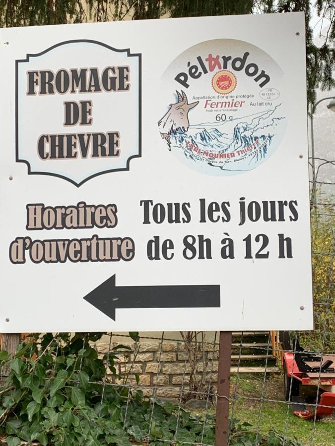 La Voutee 5 Epis Avec Bain Finlandais Prive Au Manoir Du Charme Gorges Du Tarn Bed & Breakfast Quezac  ภายนอก รูปภาพ